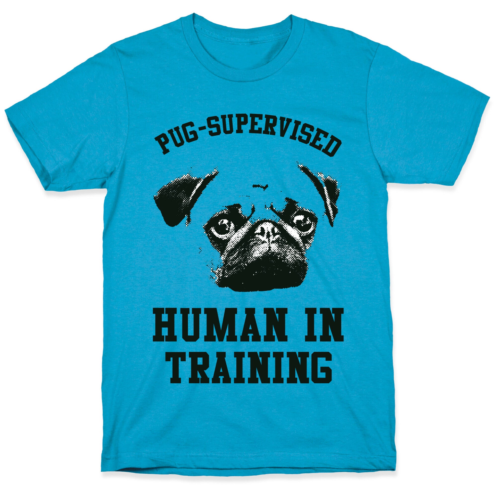 Pug Supervised Human in Training Unisex Triblend Tee